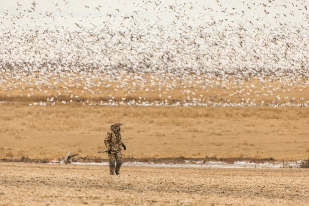 Spring Snow Goose Apparel