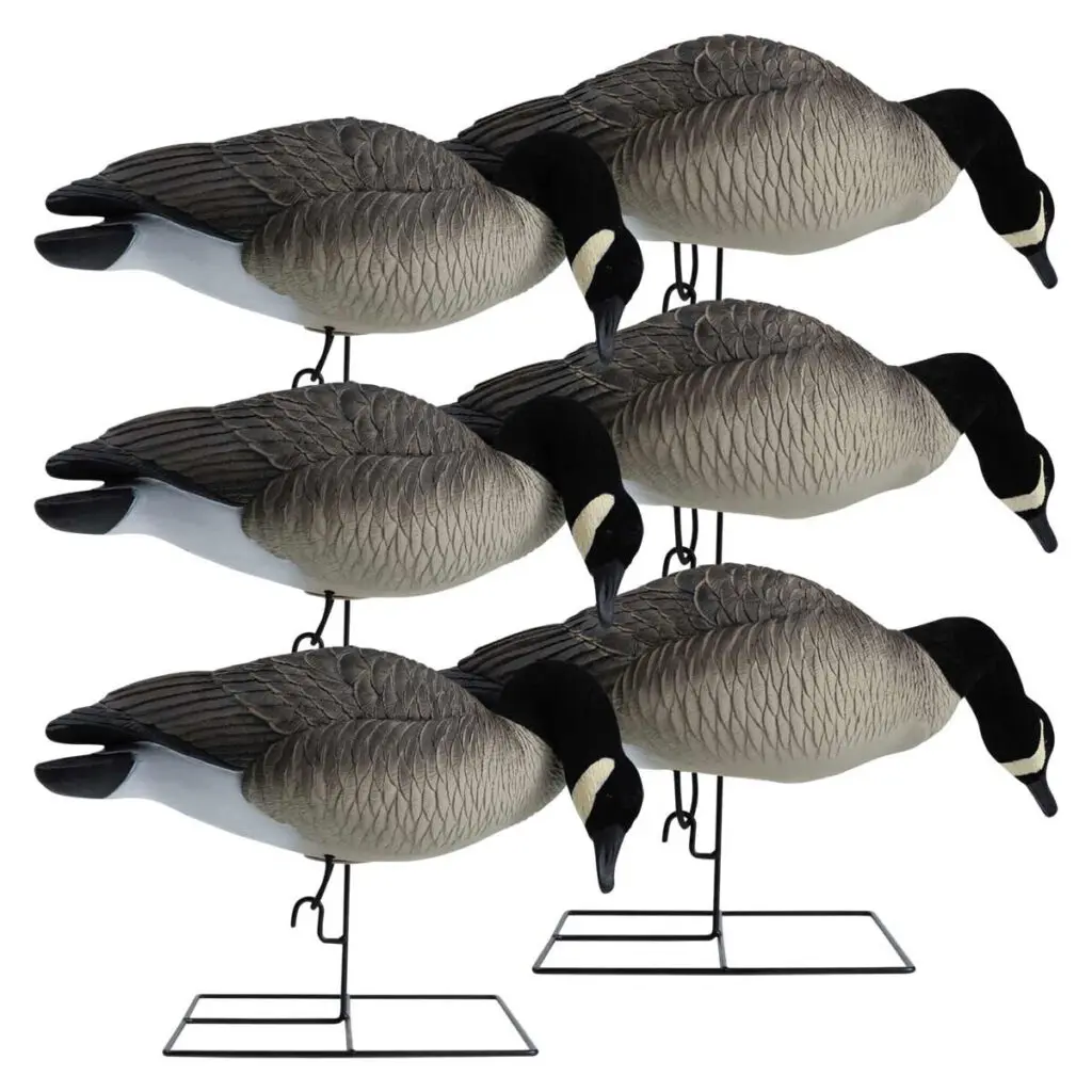 Rugged Series Full Body Canada Goose Decoys Flocked Head