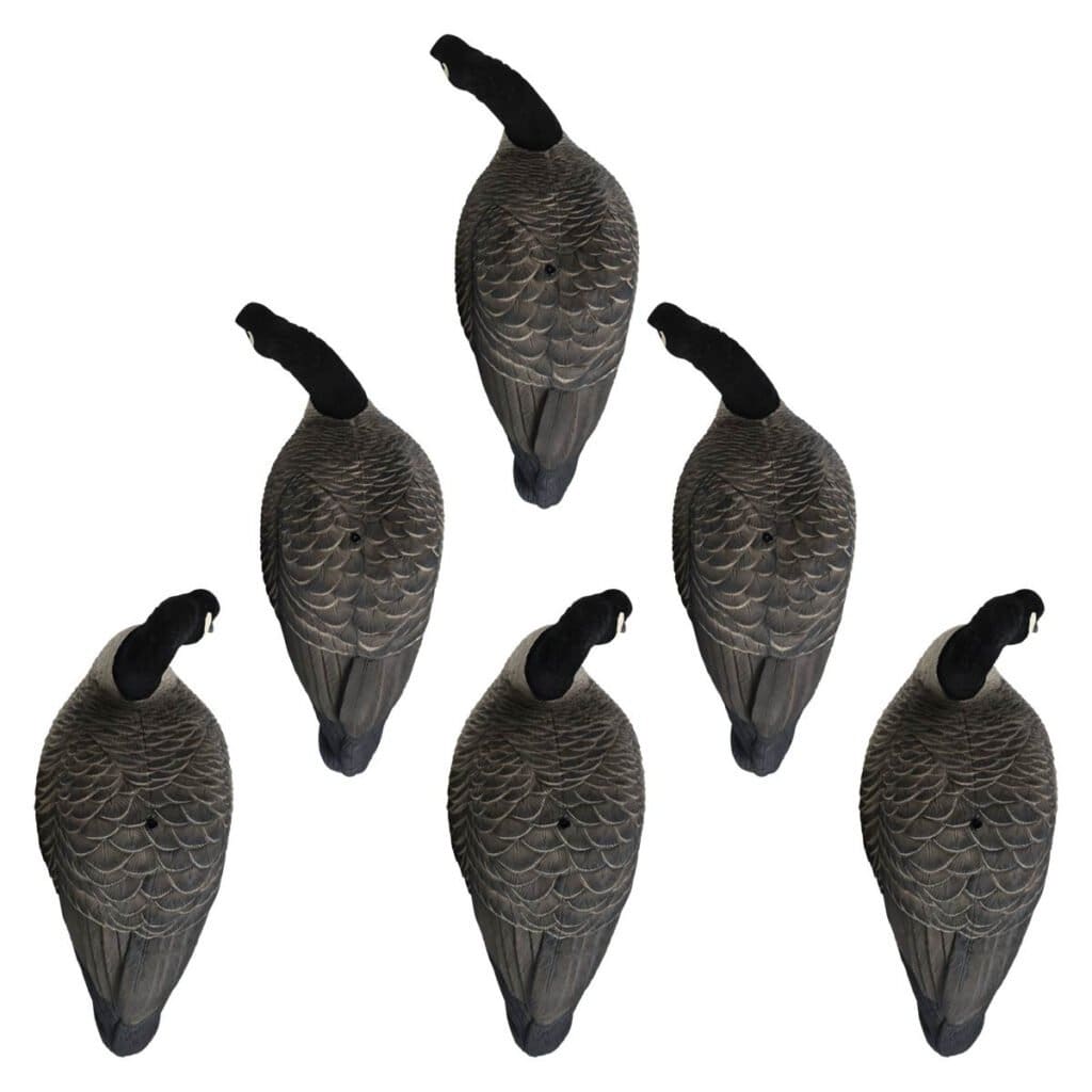 Rugged Series Full Body Canada Goose Decoys Flocked Head