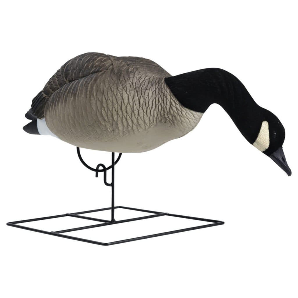 Rugged Series Full Body Canada Goose Decoys Flocked Head