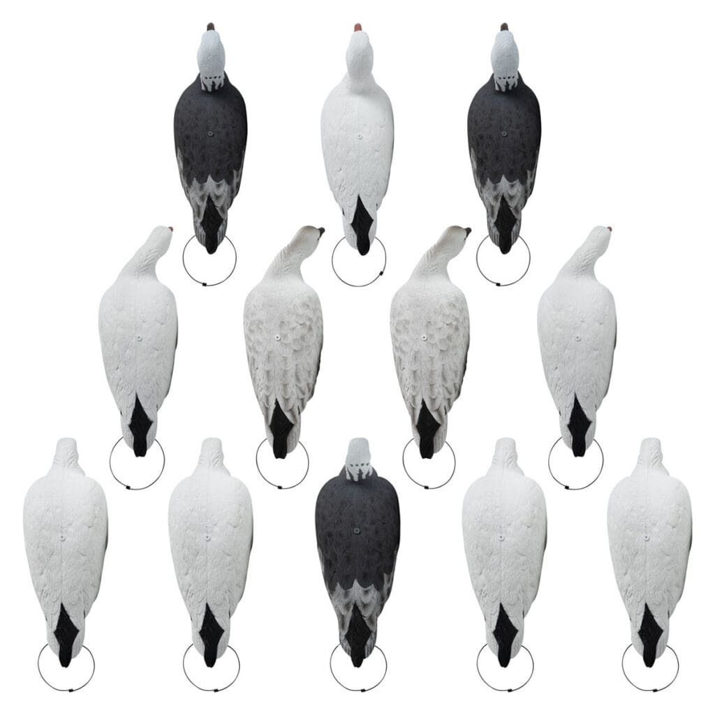 Rugged Series Full Body Snow and Blue Goose Touchdown Decoys 12-Pack - top facing