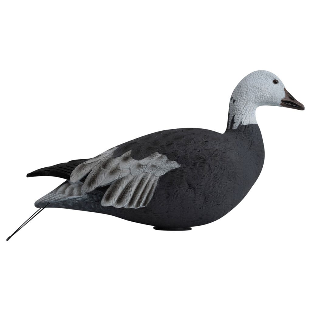 Rugged Series Full Body Snow and Blue Goose Touchdown Decoys 12-Pack