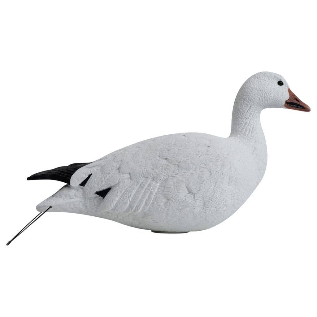 Rugged Series Full Body Snow and Blue Goose Touchdown Decoys 12-Pack