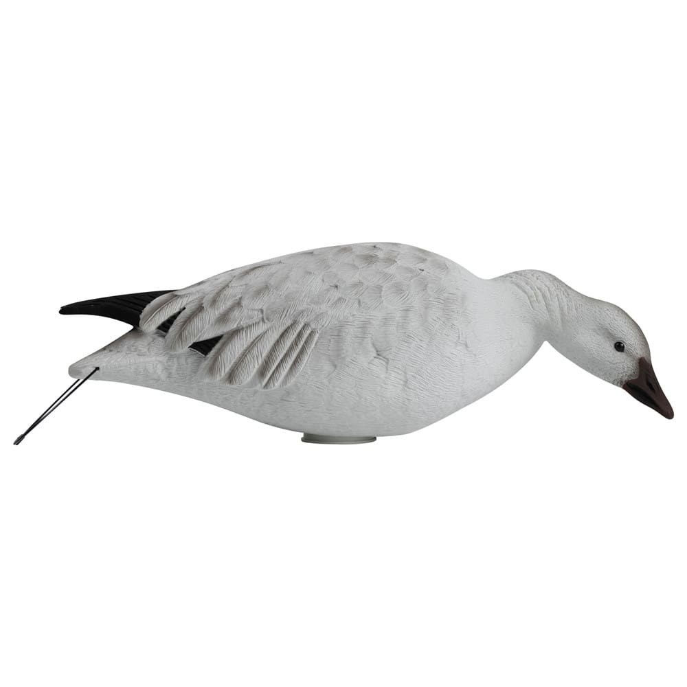 Rugged Series Full Body Snow Goose right turn feeder adult decoy