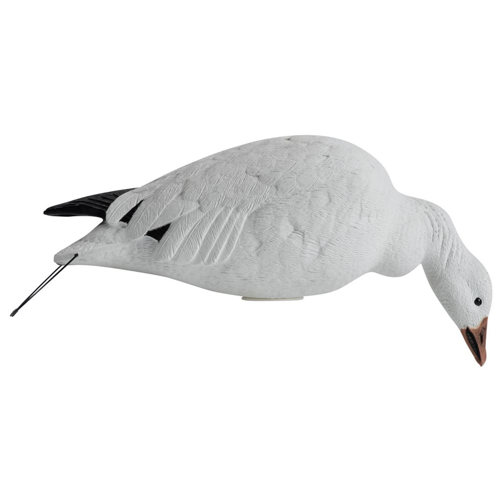 Rugged Series Full Body Snow Goose straight neck feeder adult decoy