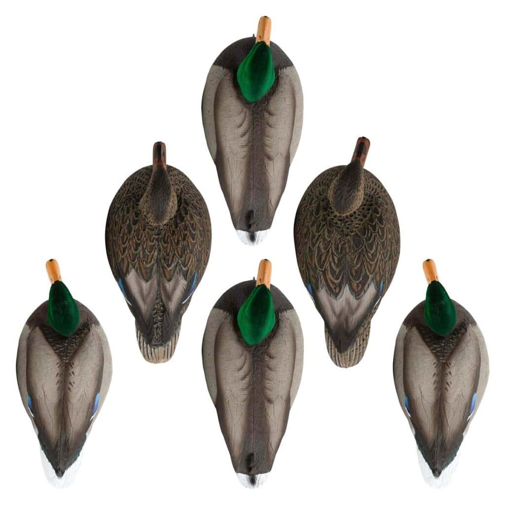 RuggedSeries_StandardMallardFlocked_6pack_TOP