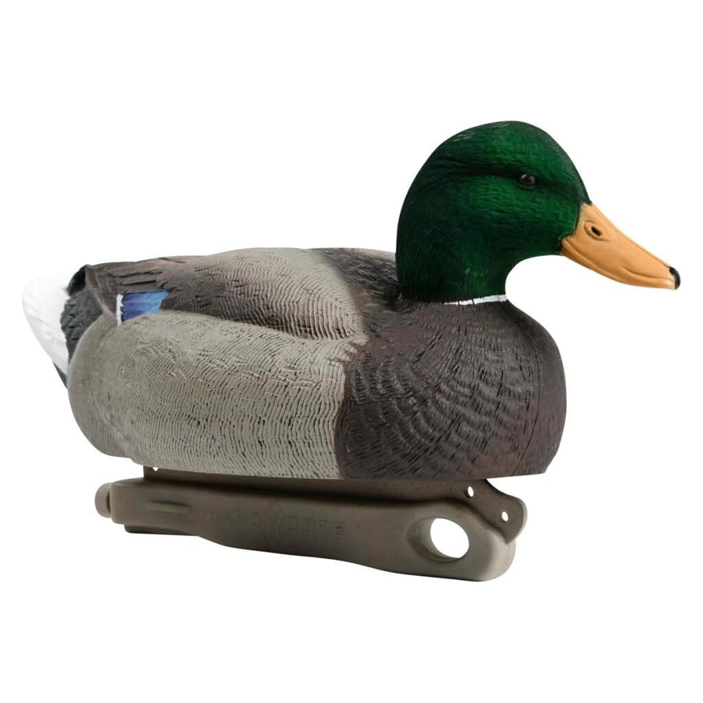 RuggedSeries_StandardMallardFlocked_RestingDrake_RFACE