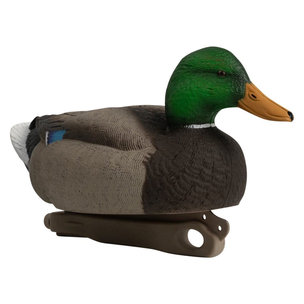 Rugged Series Standard Mallard decoy active drake right quarter facing