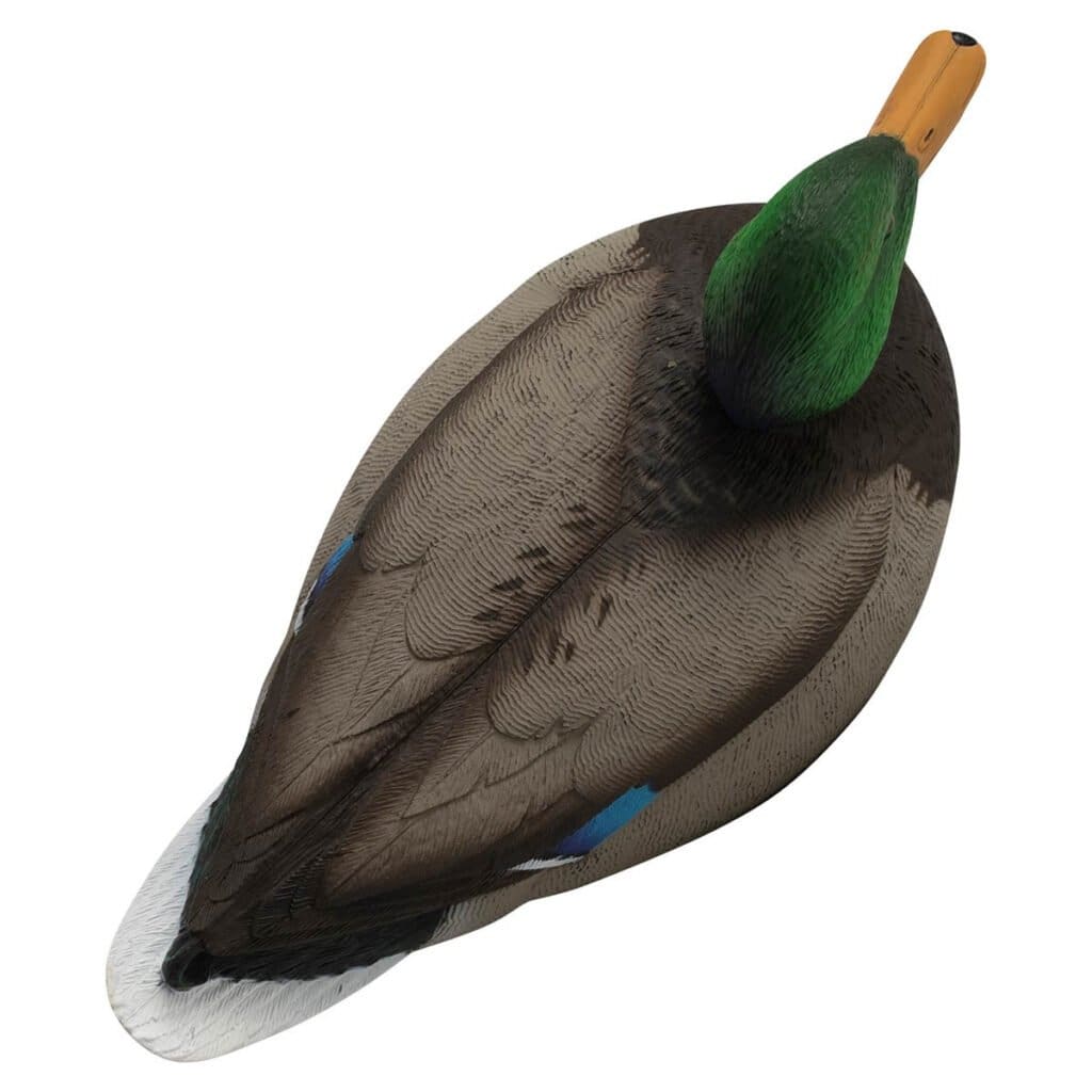 Rugged Series Standard Mallard decoy active drake top view