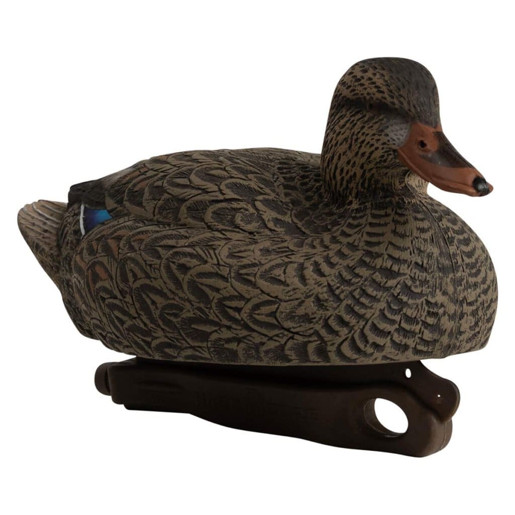 Rugged Series Standard Mallard decoy active hen right quarter facing