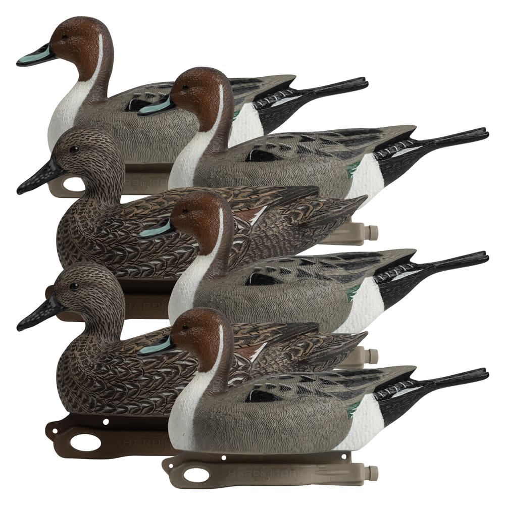 Rugged Series Pintails decoy lineup left facing