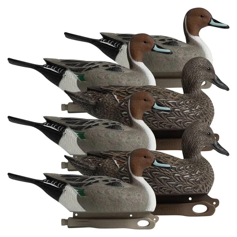 Rugged Series Pintails decoy lineup right facing