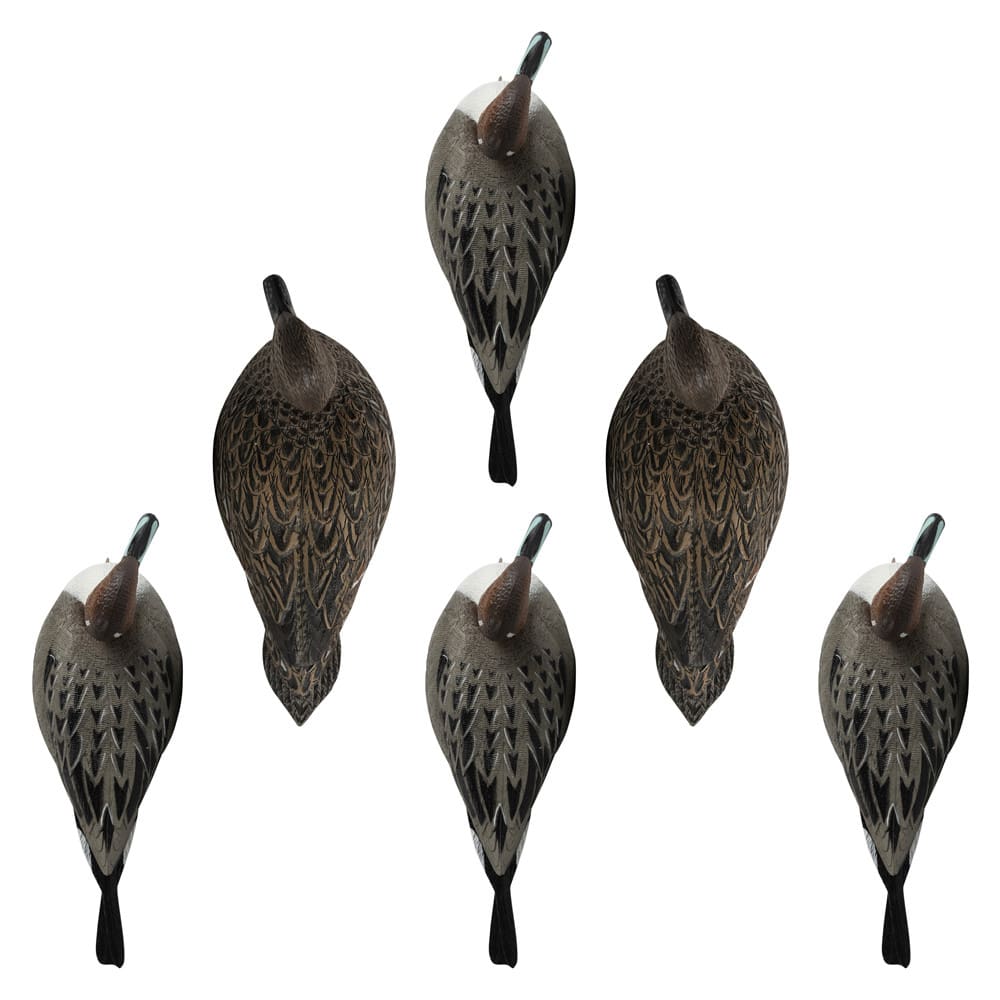 Rugged Series Pintails decoy lineup top view