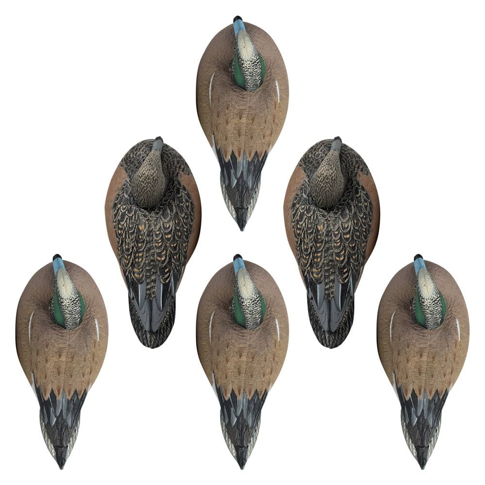 Rugged Series Wigeon 6 pack of decoys top view