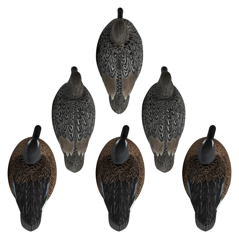Rugged Series Blue-Winged Teal 6 pack decoy top view