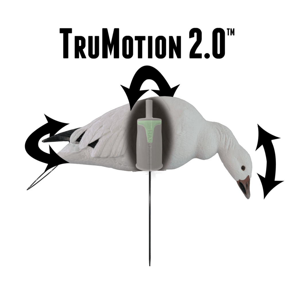 TruMotion diagram