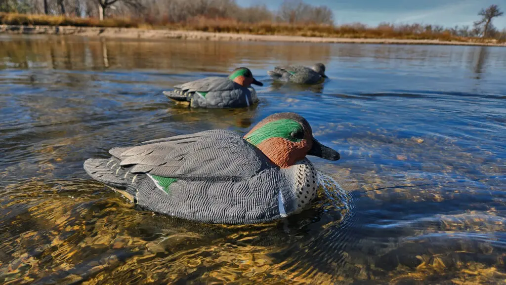 Rugged Series Green Winged Teal Floater Decoys