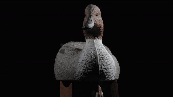 Rugged Series Pintails Duck Decoys
