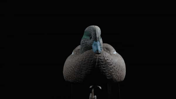 Rugged Series Wigeon Duck Decoys