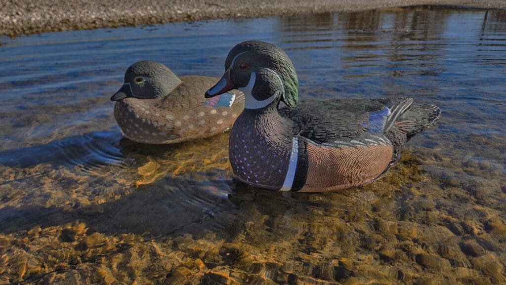 Rugged Series Wood Ducks