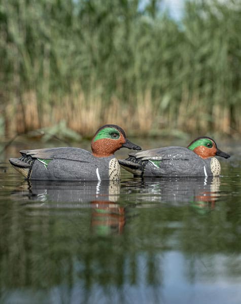 2 green winged teal decoys on the water