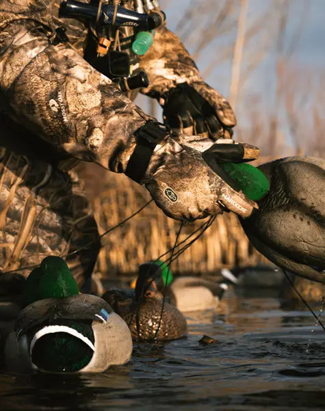mallard decoy with flocked head getting prepped to go on the water