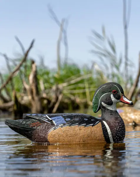 marsh pack decoy on the water close up