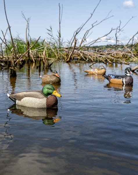 group of marsh pack decoys on the water