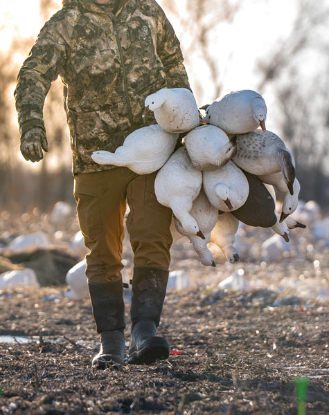 snow and blue decoys being carried into the field