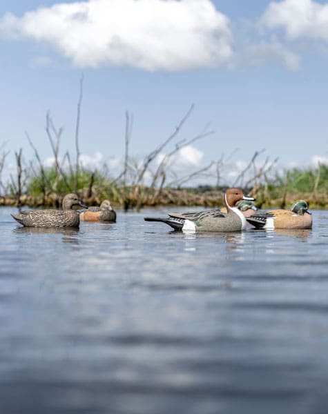 whistler decoy pack on the water