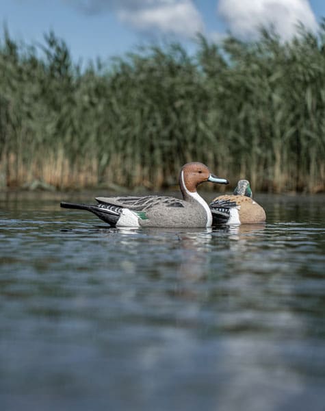 whistler decoy close up