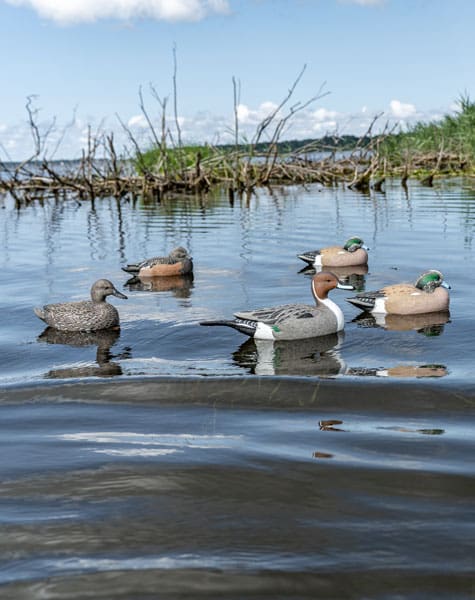 whistler decoy pack on the water
