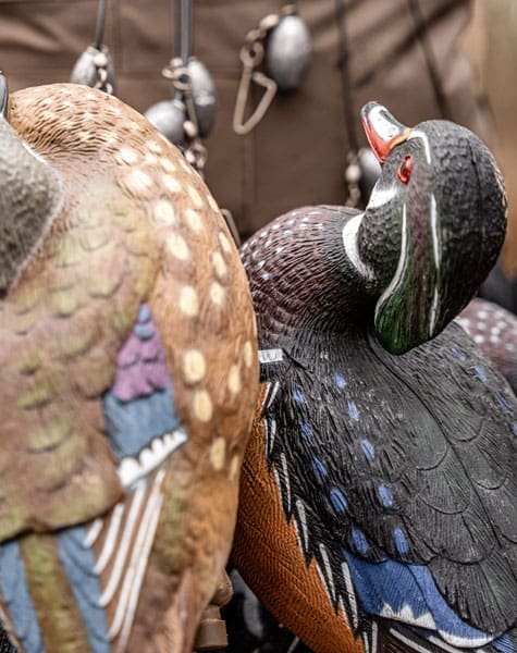 close up of wood duck decoys