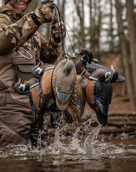 group of wood duck decoys being pulled out of the water