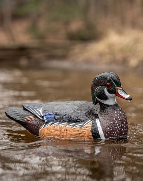 wood duck decoy on the water close up