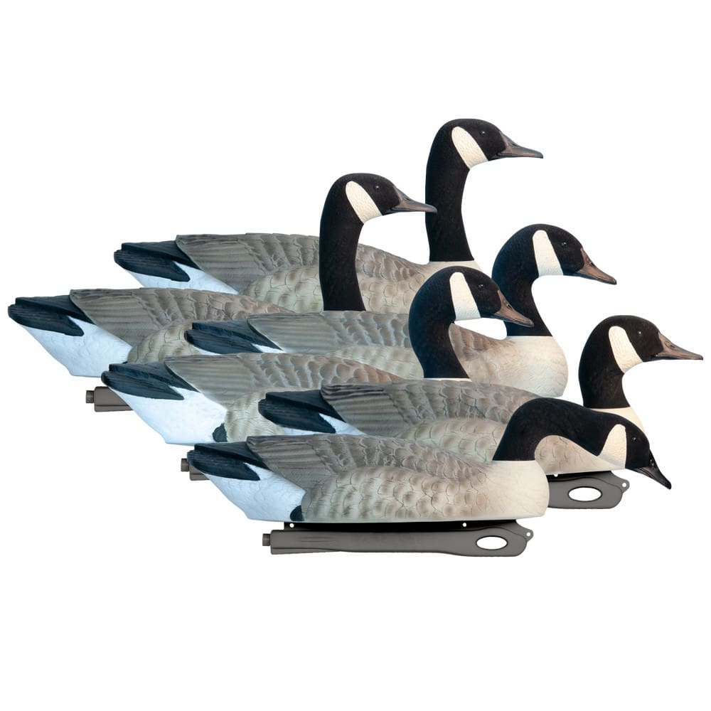 Rugged Series Canada Goose Floaters Touchdown Decoys - Flocked Head 6 Pack