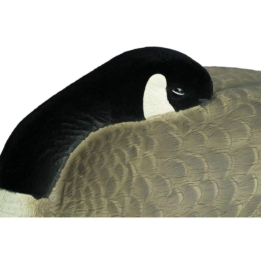 Rugged Series Canada Sleeper Shell Decoys - Flocked Head