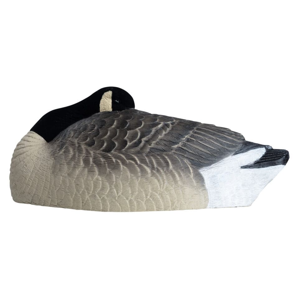 Rugged Series Canada Sleeper Shell Decoys - Flocked Head 6 Pack