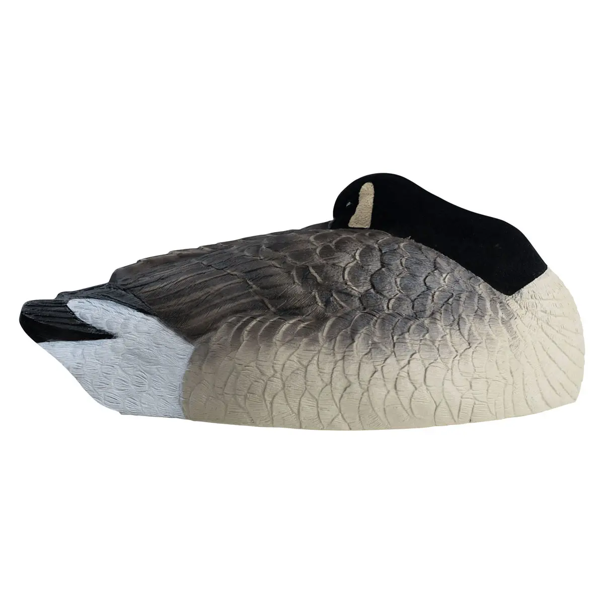 Rugged Series Canada Sleeper Shell Decoys - Flocked Head 6 Pack-right facing