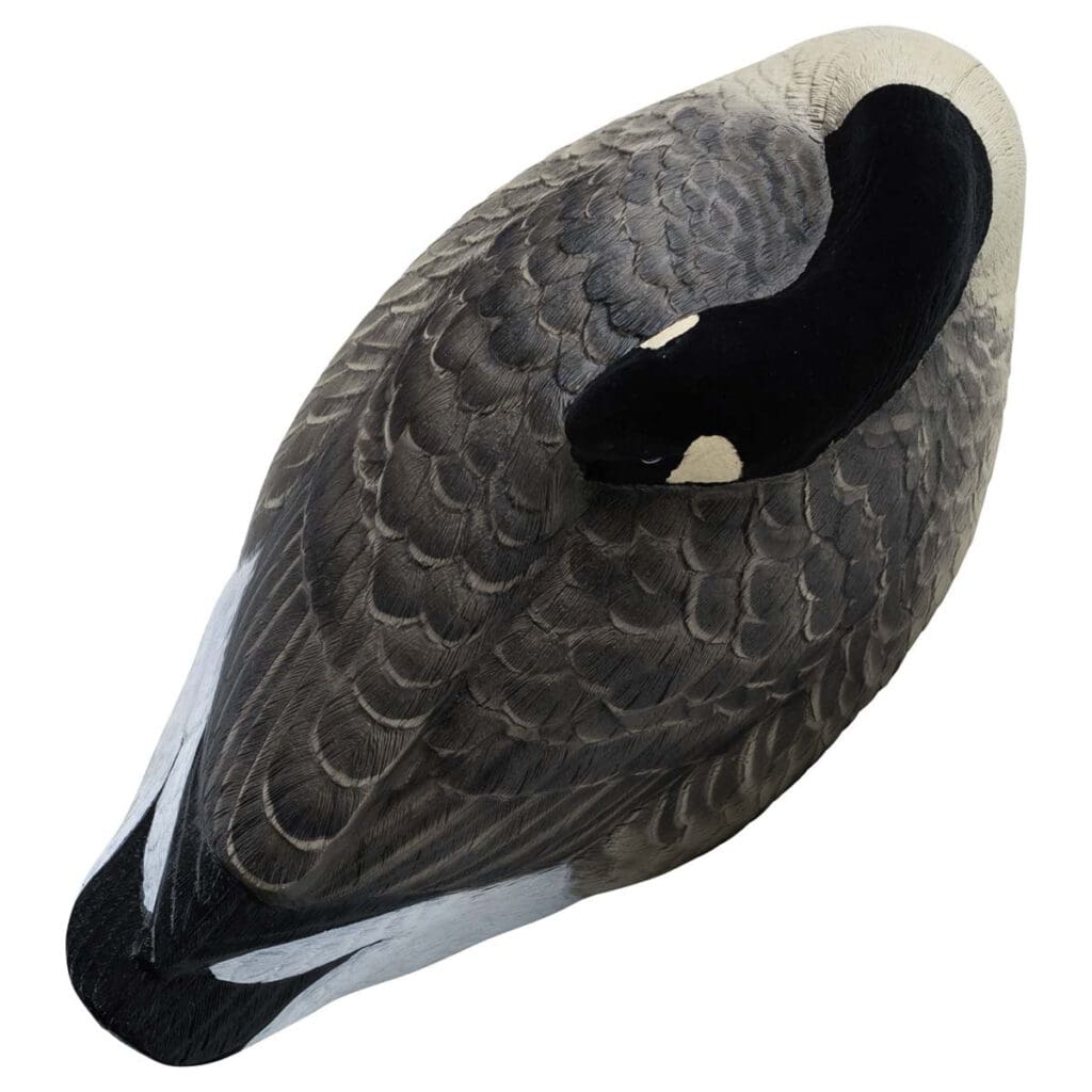 Rugged Series Canada Sleeper Shell Decoys - Flocked Head 6 Pack - top right view