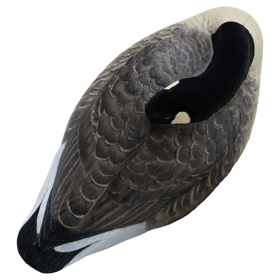 Rugged Series Canada Sleeper Shell Decoys - Flocked Head 6 Pack