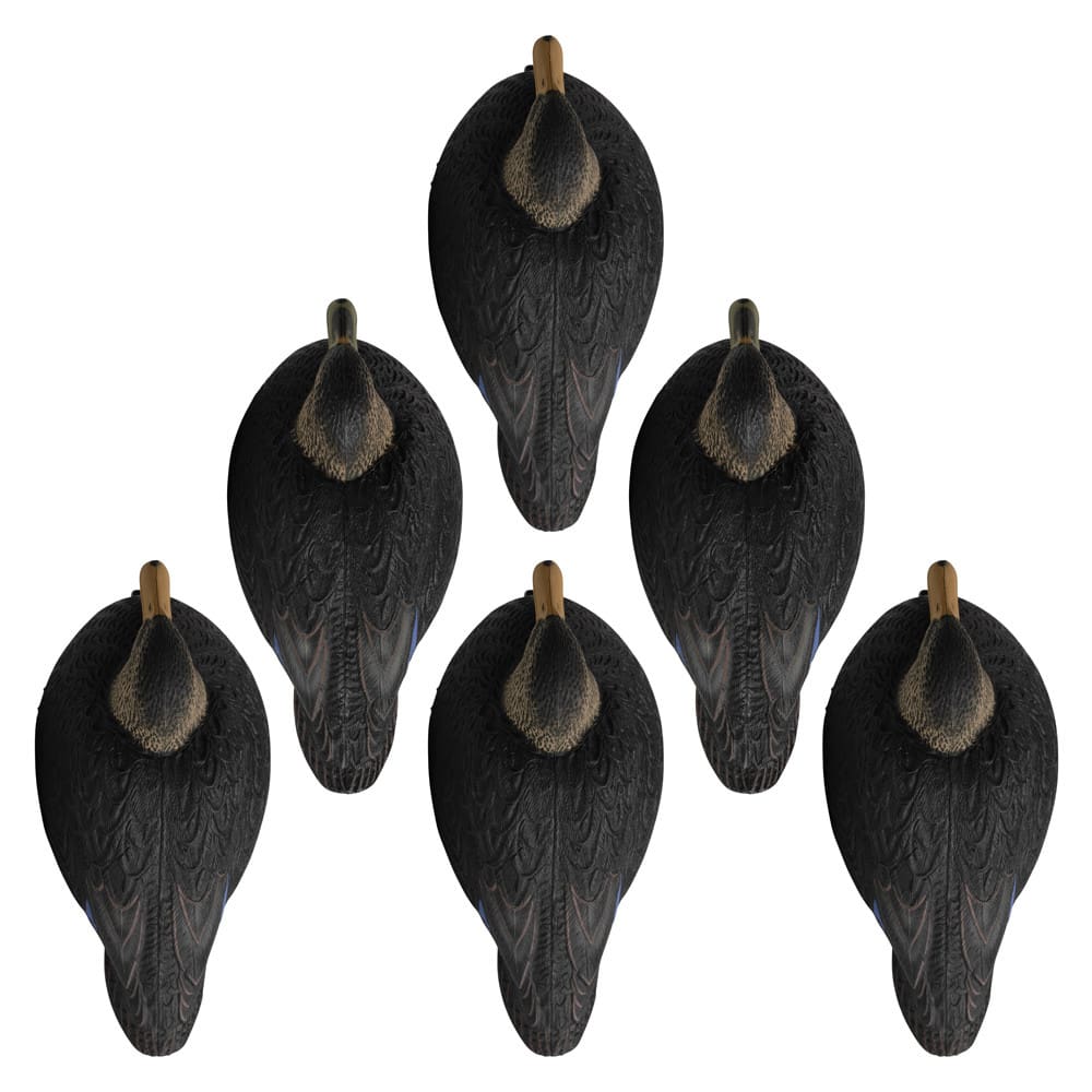 Rugged Series Magnum Black Duck Decoys full lineup top view