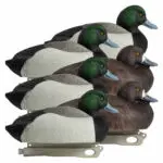 RuggedSeries_Bluebill_6pack_RIGHT