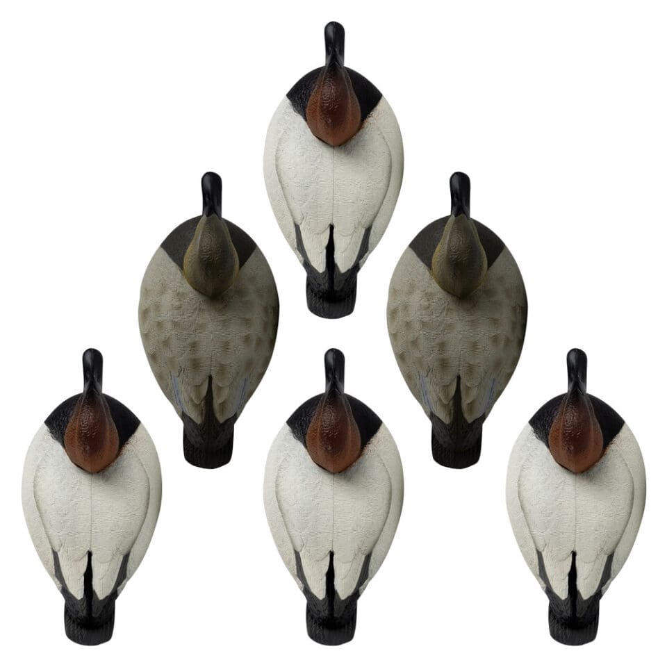 GHG Hunter Series Oversize Foam-Filled Bufflehead Decoys – 6-Pack (4 Drakes, 2 Hens) – 77163