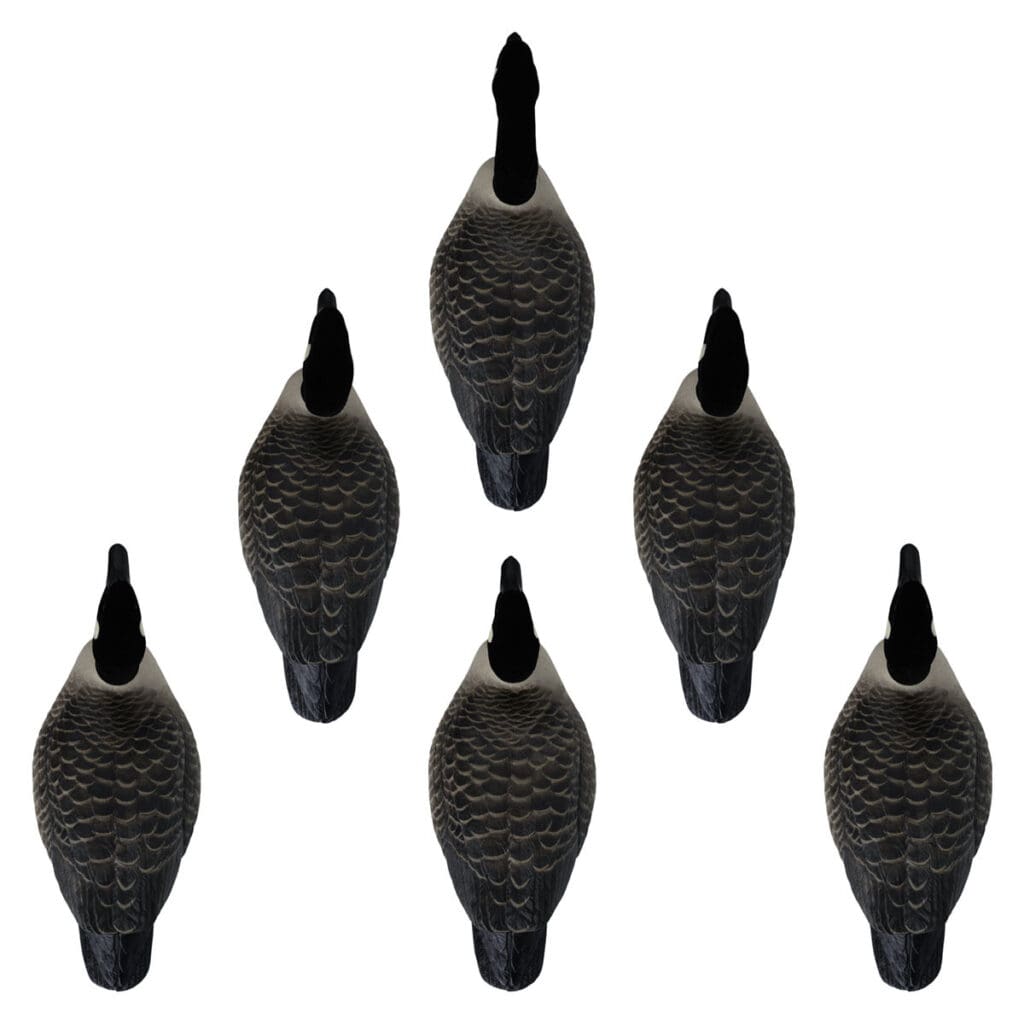 Rugged Series Canada Goose Floaters Touchdown Decoys - Flocked