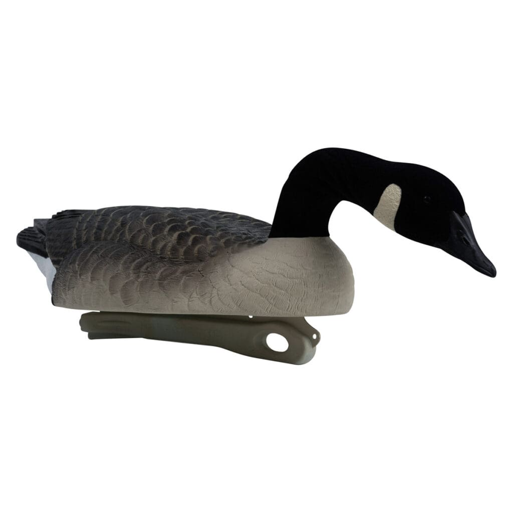 Rugged Series Canada Goose Floaters Touchdown Decoys - Flocked Head 6 Pack - surface feeder right front