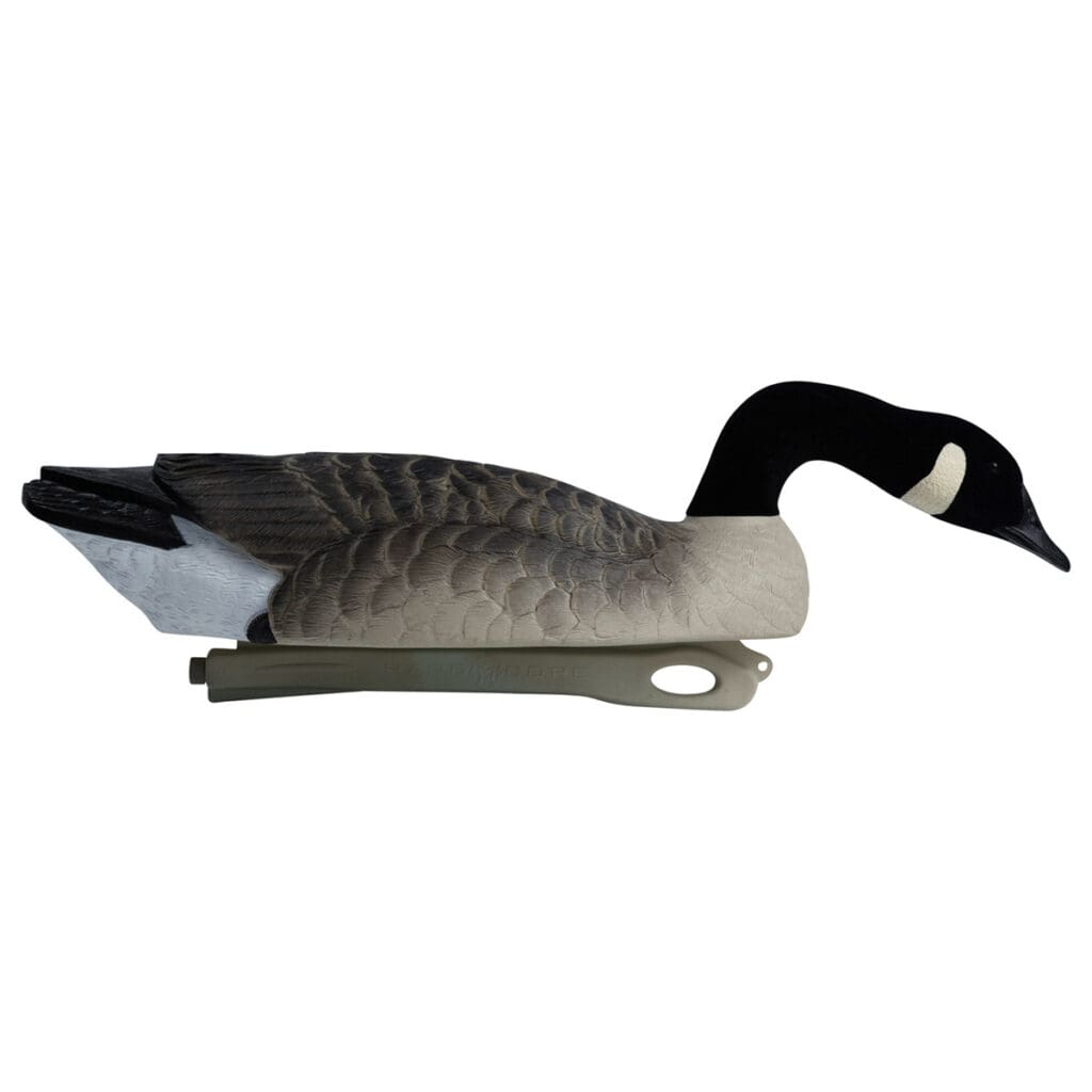 Rugged Series Canada Goose Floaters Touchdown Decoys - Flocked Head 6 Pack - surface feeder right