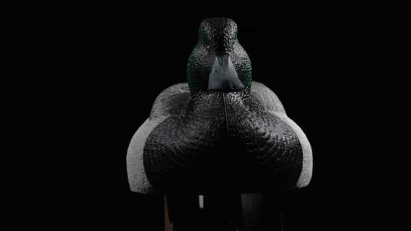 Rugged Series Bluebill Duck Decoys Foam Filled