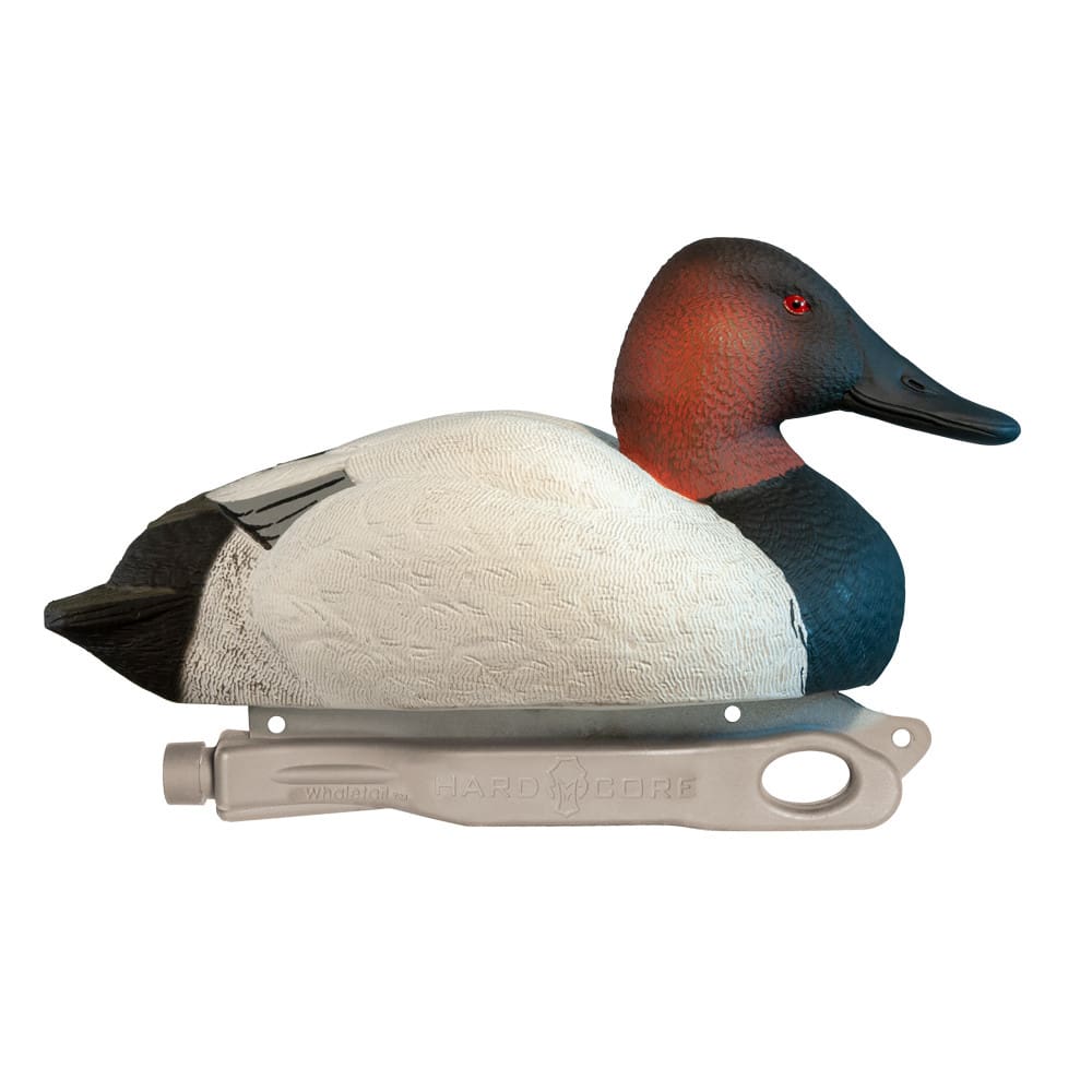 Rugged Series Canvasback Decoys - Foam Filled drake image