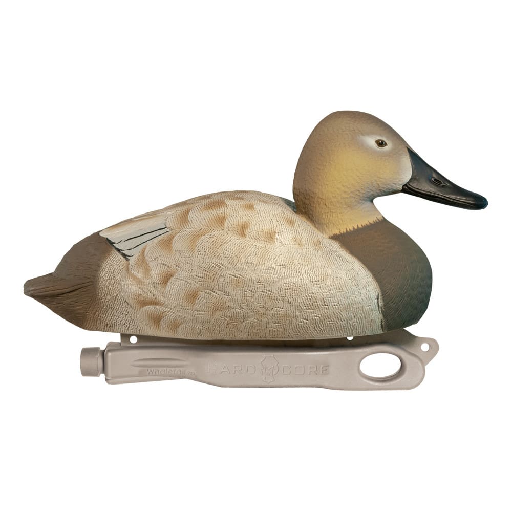 Rugged Series Canvasback Decoys - Foam Filled hen image